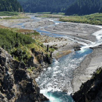 Undamming a River, Rebuilding a Forest
